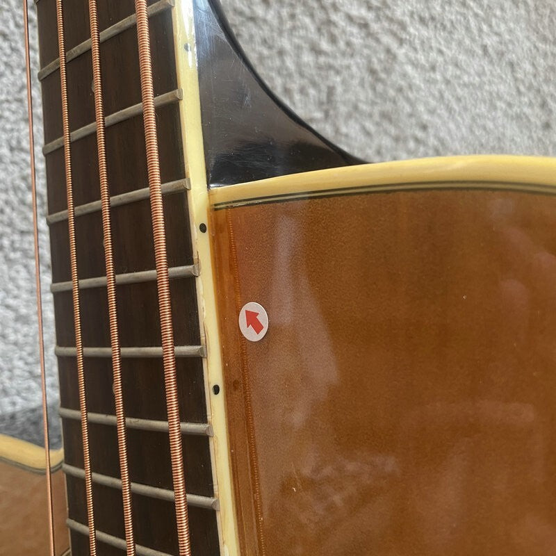 Eko Left Handed Acoustic Electric Bass, Spruce Mahogany Body, Rosewood