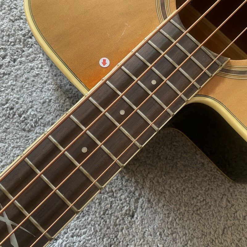 Eko Left Handed Acoustic Electric Bass, Spruce Mahogany Body, Rosewood