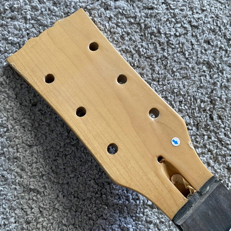 Single Cut Basswood Guitar Body with Maple Neck, Rosewood Fretboard Fi