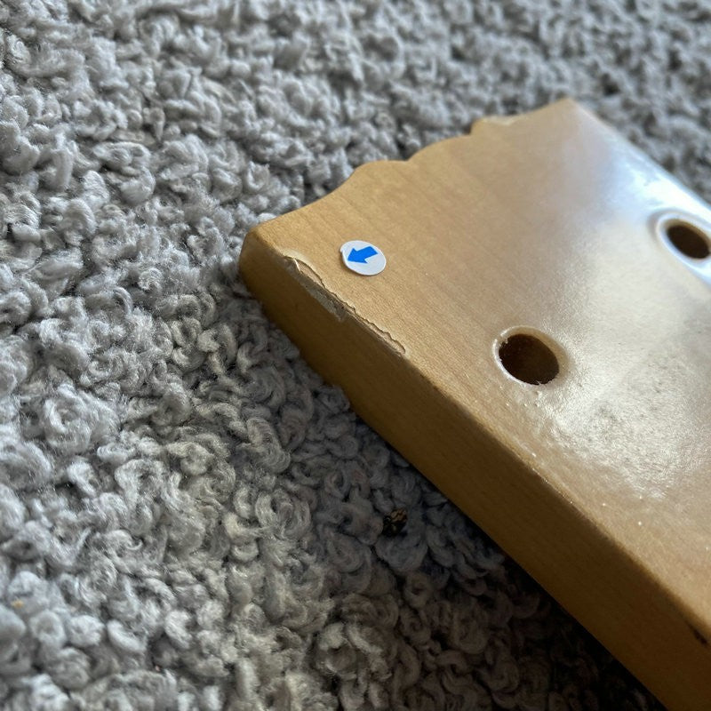 Single Cut Basswood Guitar Body with Maple Neck, Rosewood Fretboard Fi