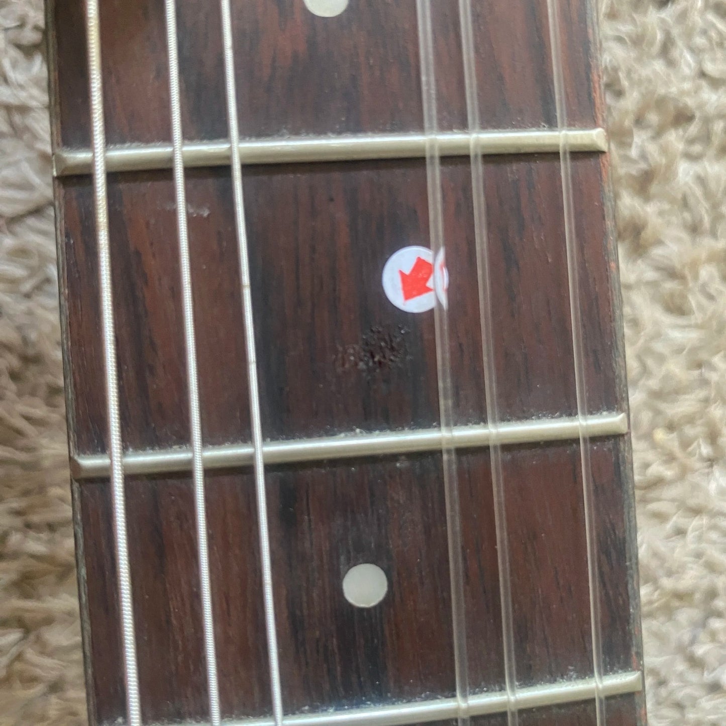 Luna 40' Classical Guitar, Cedar Top Body, Mahogany Neck, Rosewood Fin