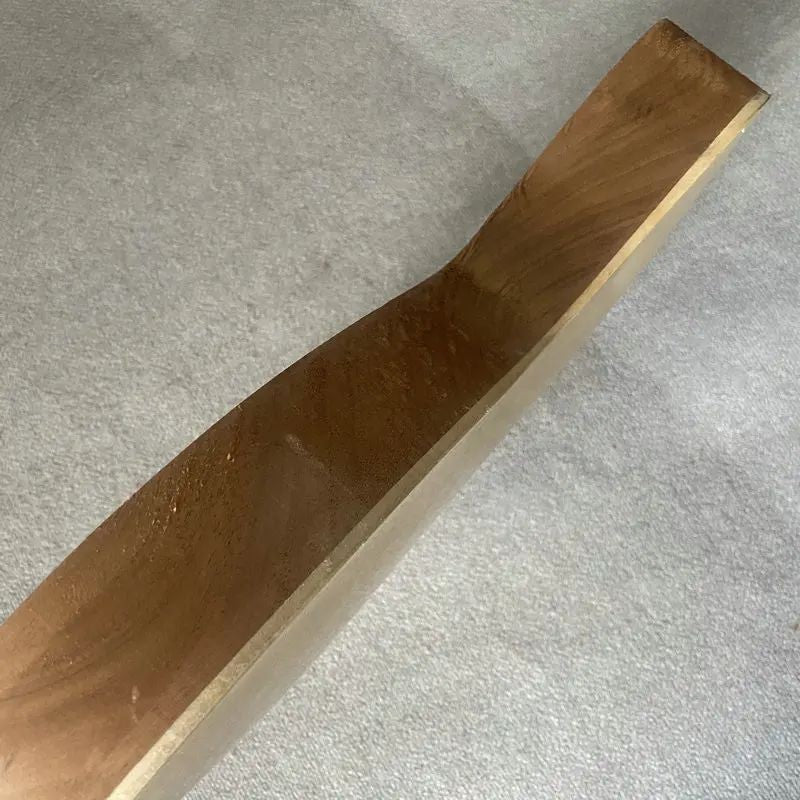 Tagima Guitar Single Cut Mahogany Body with Maple Top