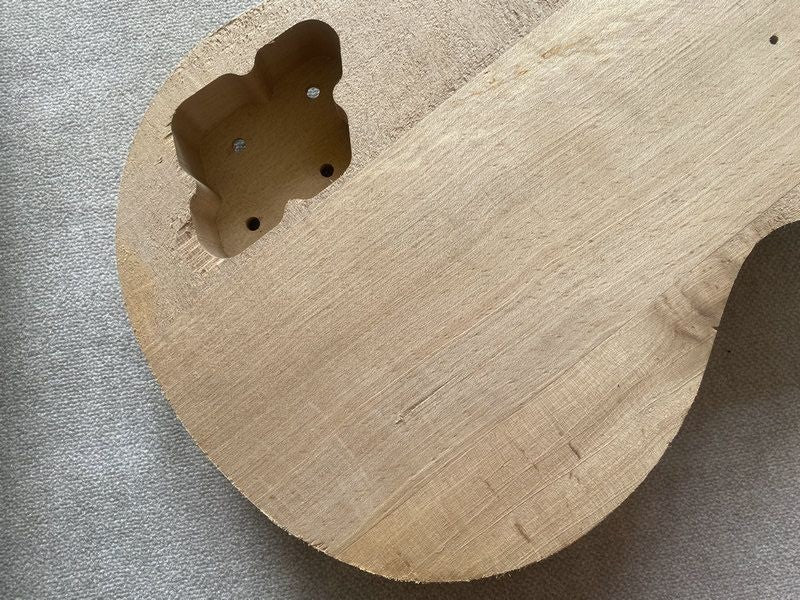 Unfinished Guitar Basswood Body with Neck, Rosewood Fingerboard Fit Le