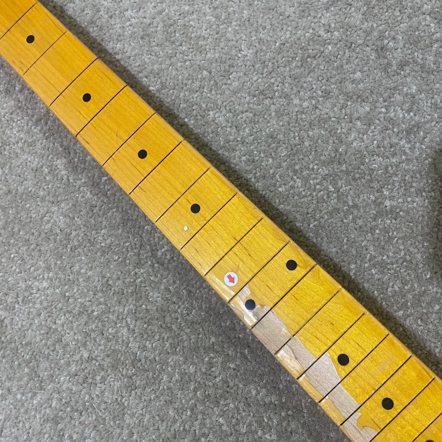Tagima Guitar Maple Wood Neck, 22 Frets Maple Fingerboard