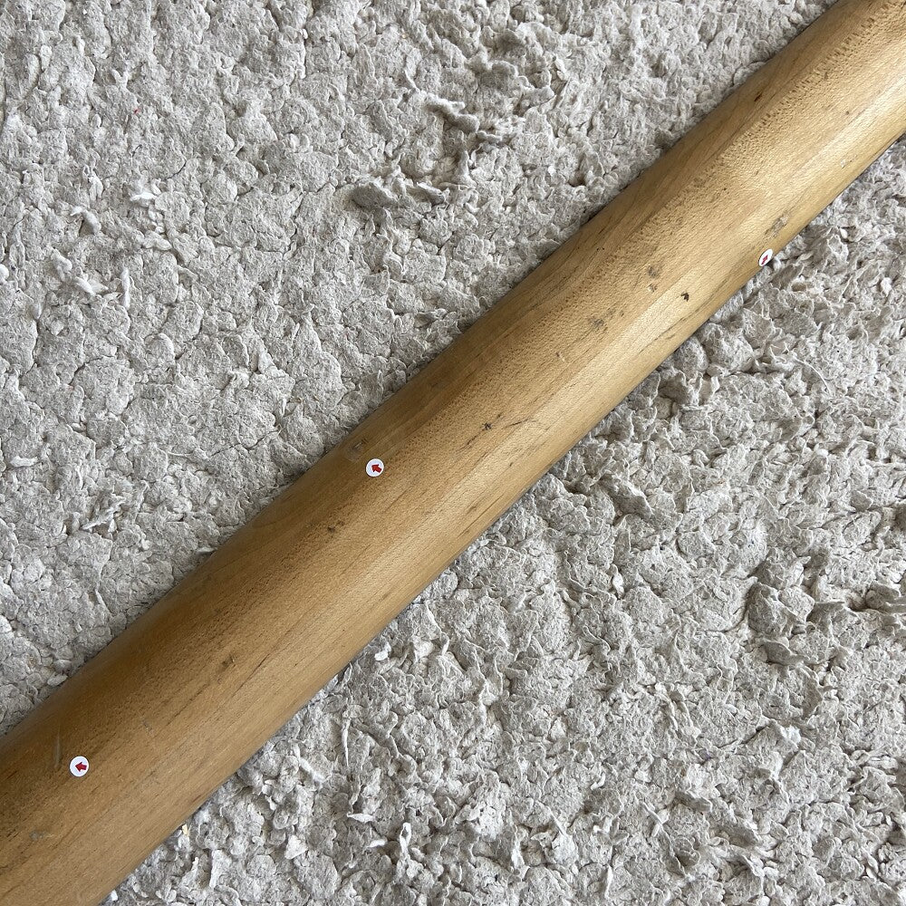 Warwick 5 String Bass Maple Neck, Rosewood Fretboard