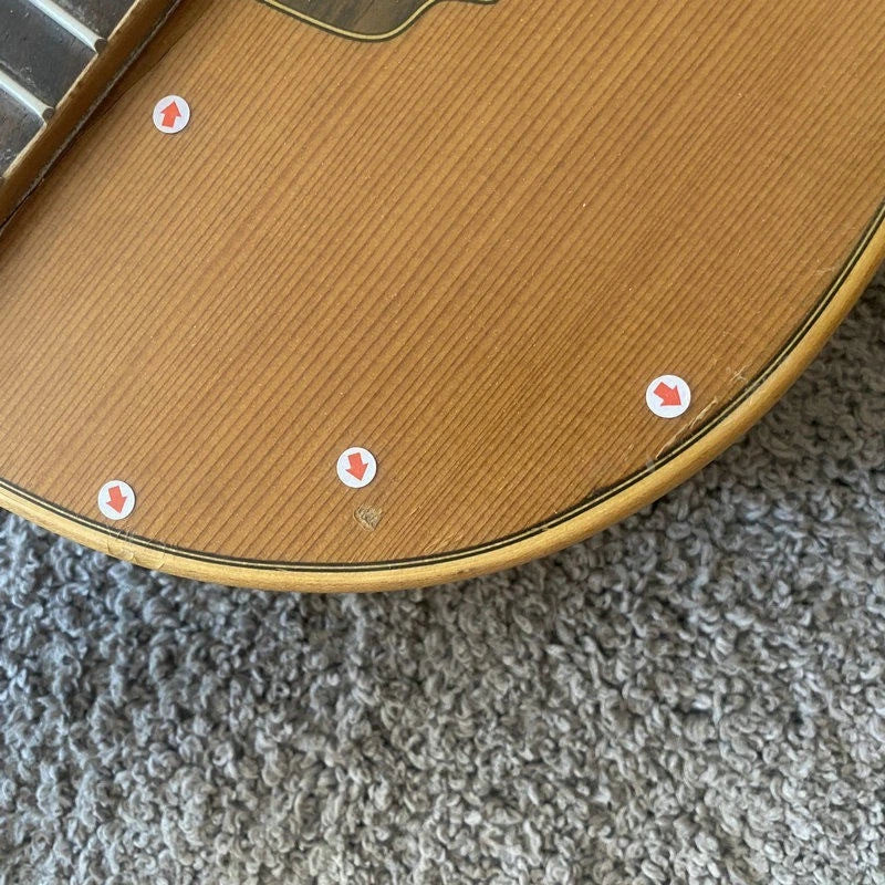Eko 39 Inch Classical Guitar, Pine and Rosewood Body, Mahogany Neck