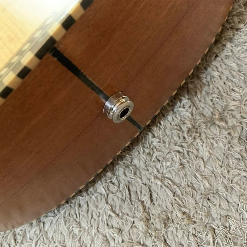 10 String Acoustic Electric Guitar, Solid Spruce Top, Rosewood Fingerboard Neck