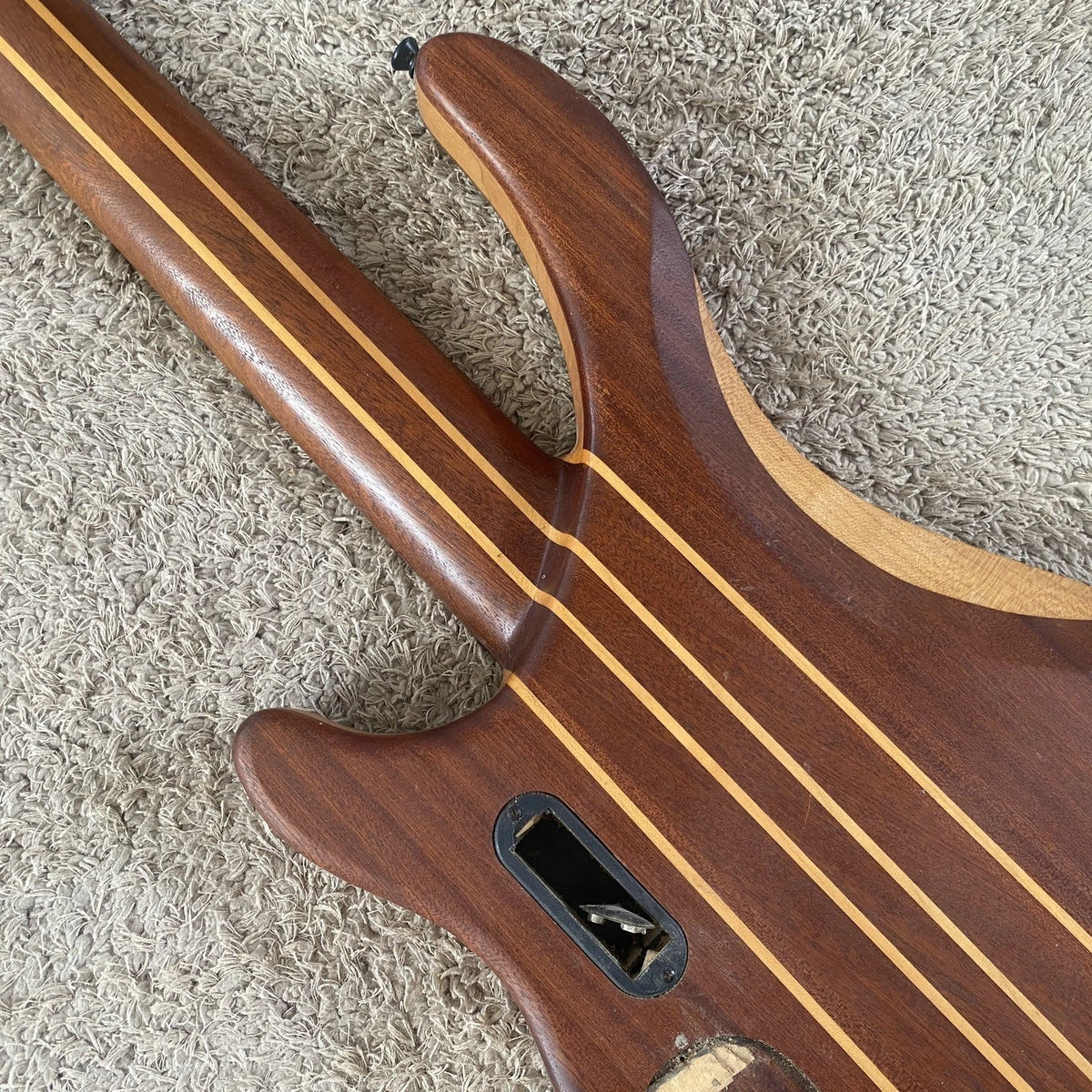 Ashton 5 String Bass DIY Project, Alder Mahogany Body, Maple Neck Through