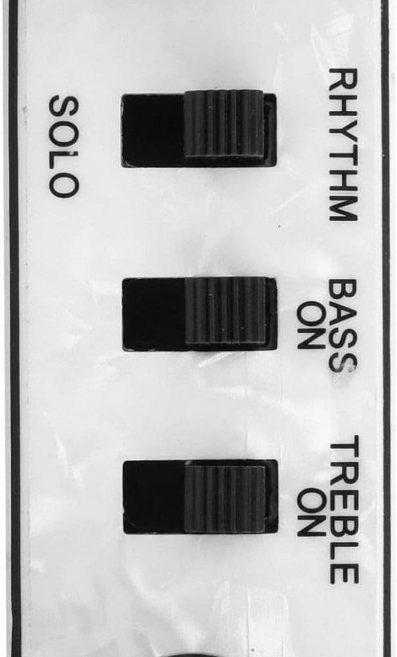White Pearl Violin Bass Prewired Control Plate Kit