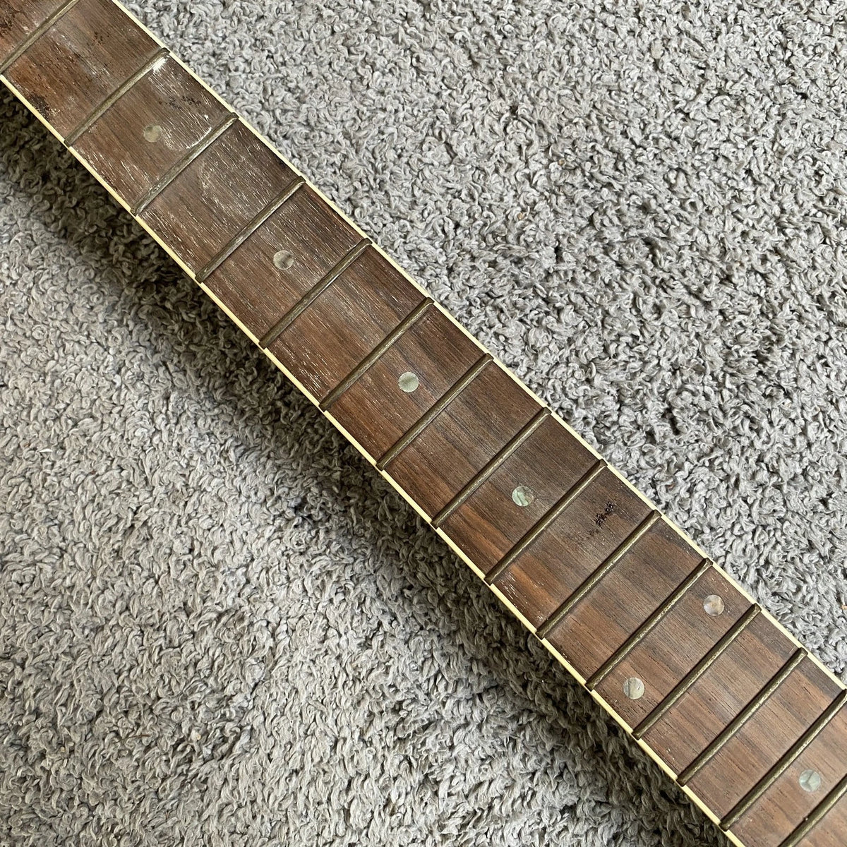 Dark Blue Guitar Project, Rosewood Fingerboard, Basswood Body