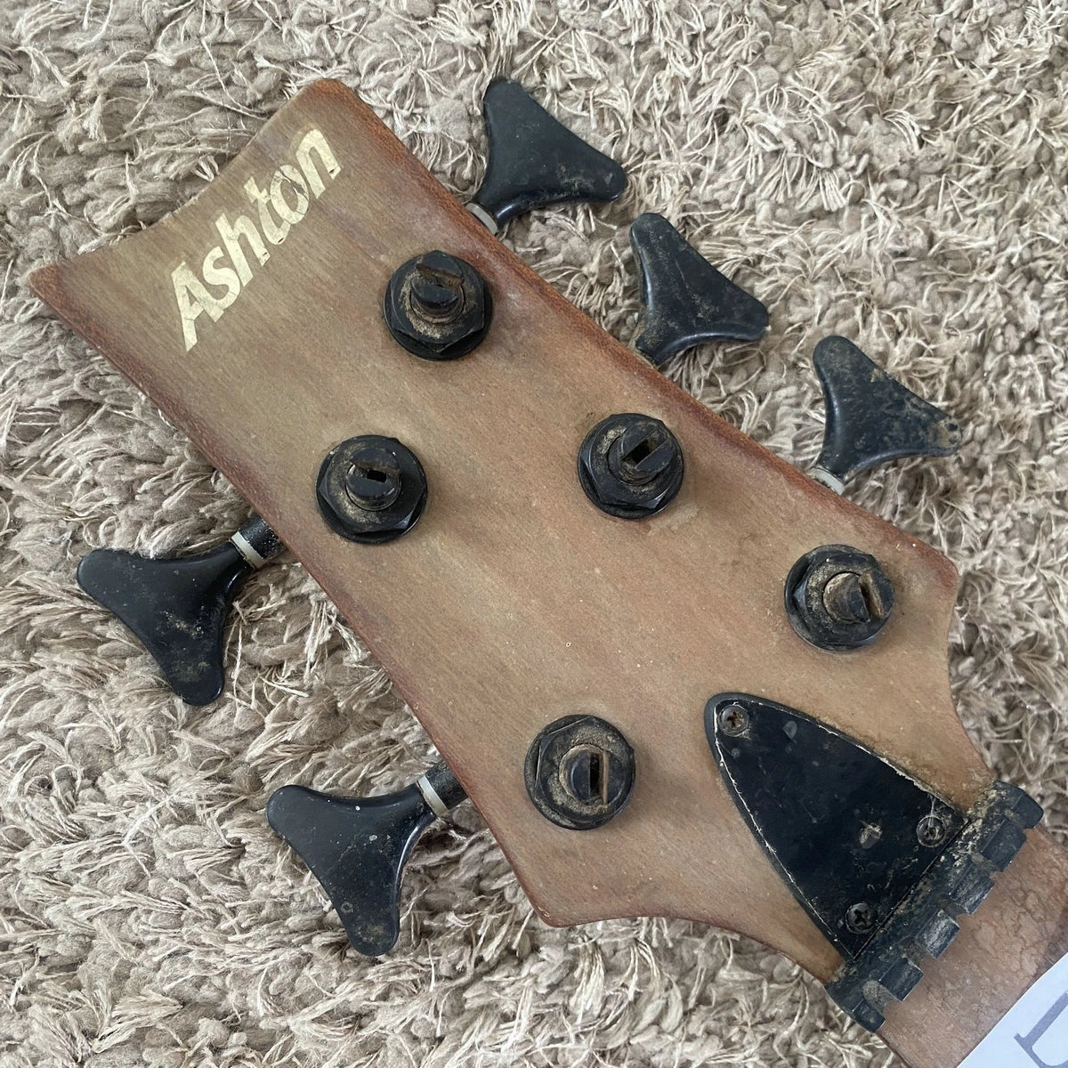 Ashton 5 String Bass DIY Project, Alder Mahogany Body, Maple Neck Through