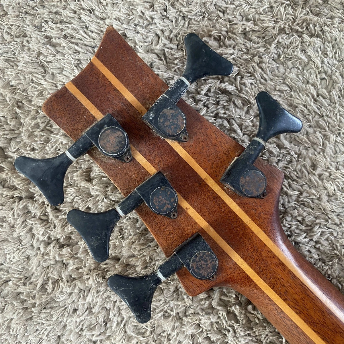 Ashton 5 String Bass DIY Project, Alder Mahogany Body, Maple Neck Through