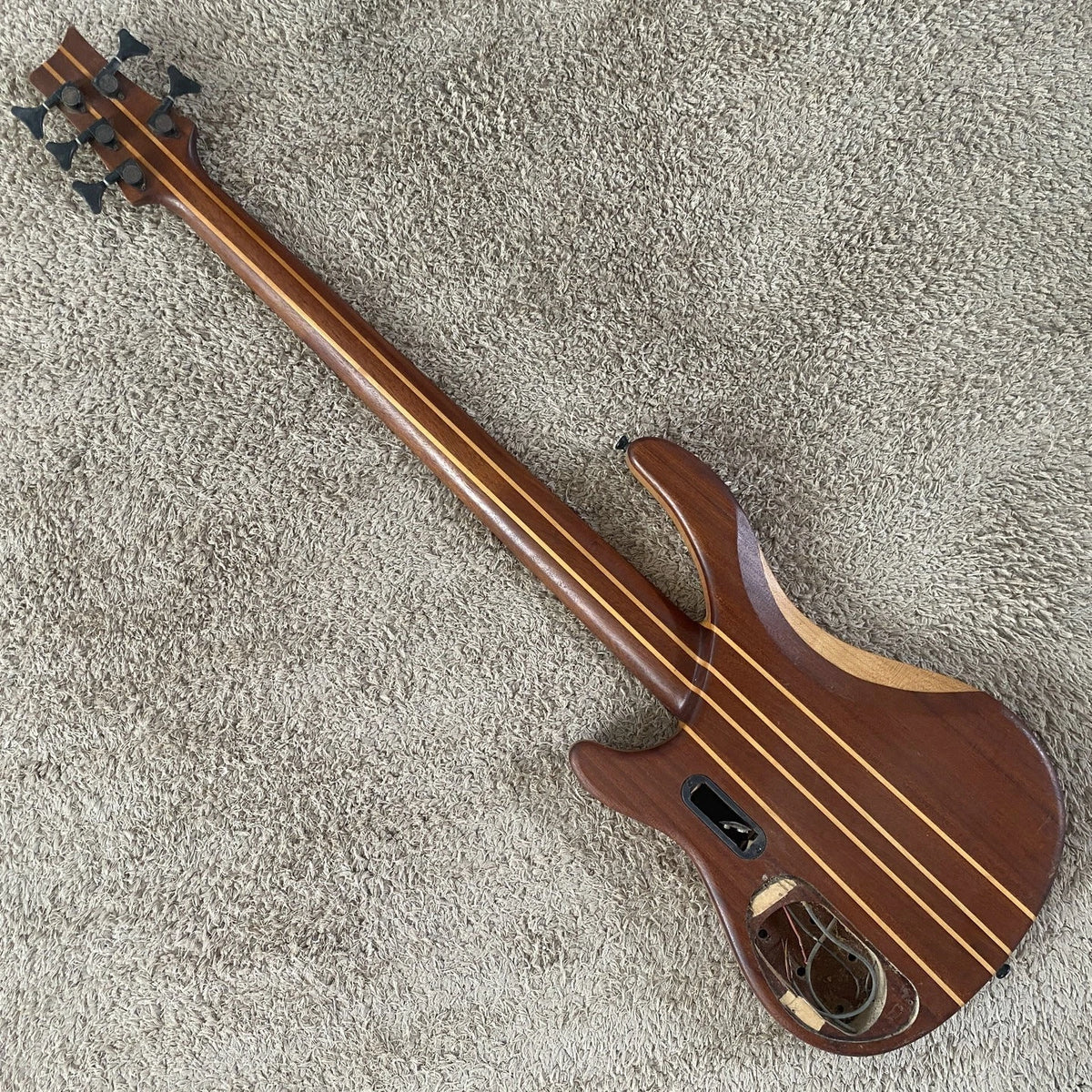 Ashton 5 String Bass DIY Project, Alder Mahogany Body, Maple Neck Through