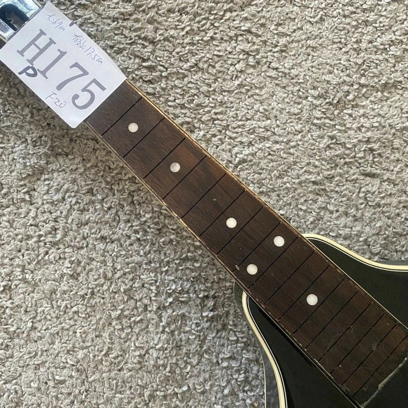 Black 8 String Mandolin Project, Spruce Top, Mahogany Body, Rosewood Fingerboard