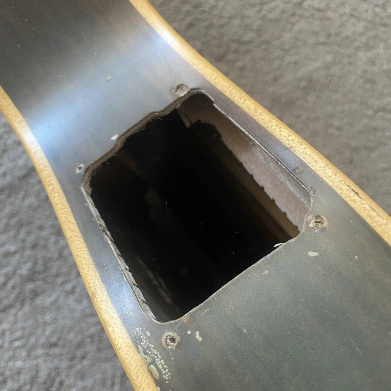 Eko 39 Inch Classical Guitar, Pine and Rosewood Body, Mahogany Neck
