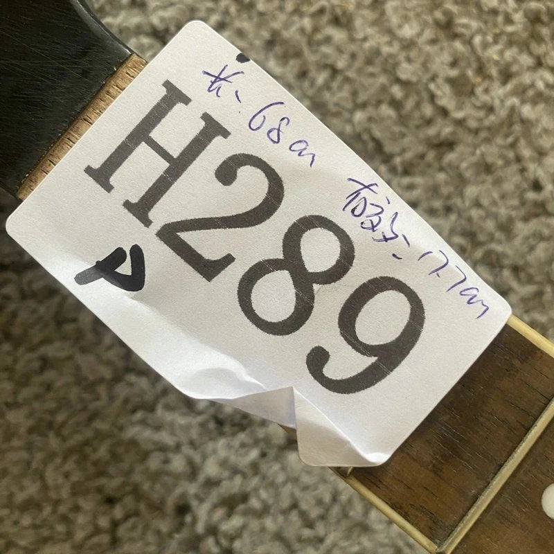 Old Style Mandolin Project in Transparent Black