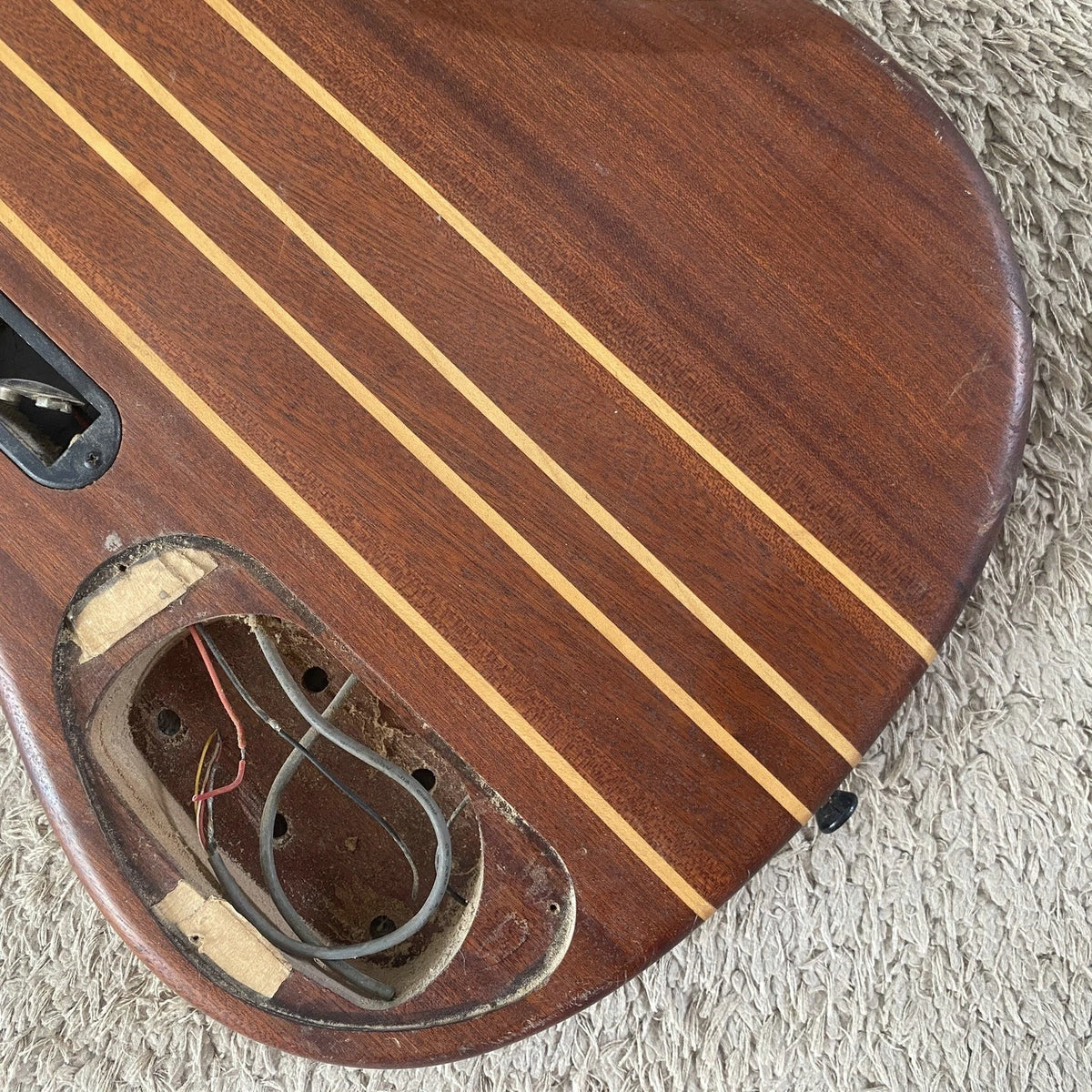 Ashton 5 String Bass DIY Project, Alder Mahogany Body, Maple Neck Through
