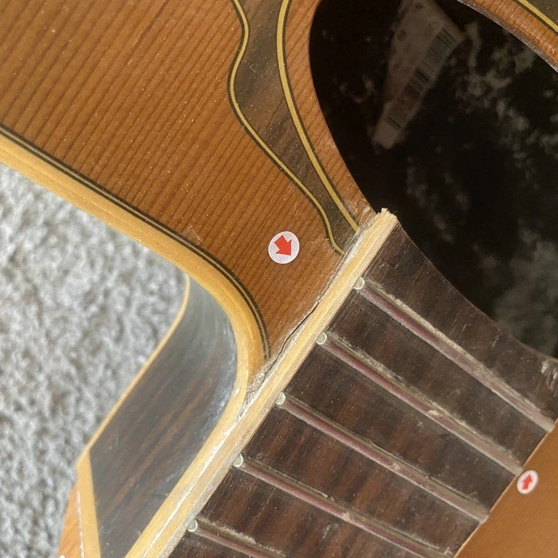 Eko 39 Inch Classical Guitar, Pine and Rosewood Body, Mahogany Neck
