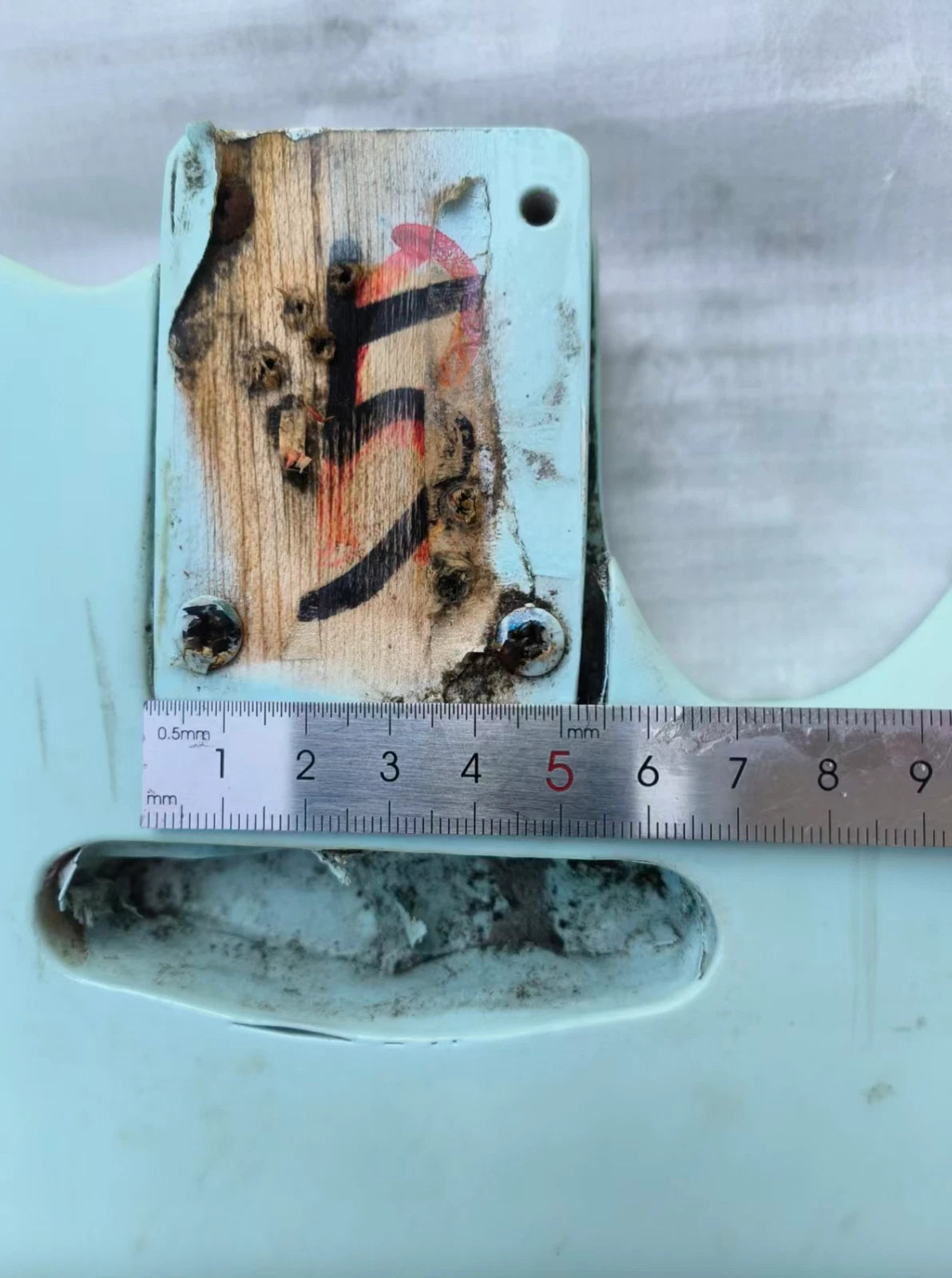 Blue Poplar Wood Tele Guitar Body