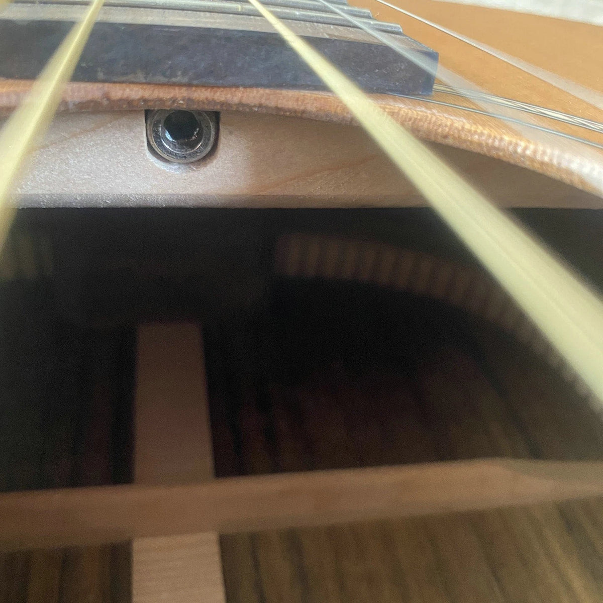 38-Inch Parlor Acoustic Guitar, Red Pine Top, Santos Rosewood Body