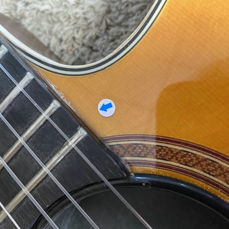 Epiphone 40 Inch Electric Classical Guitar, Spruce Top Body, Mahogany Neck