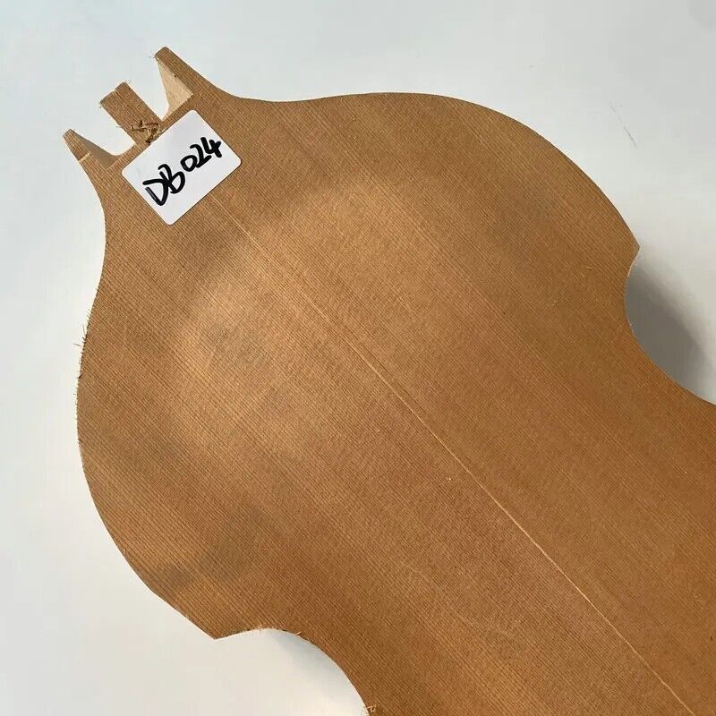 Spruce and Maple Unfinished Violin Bass Hollow Body DIY Project