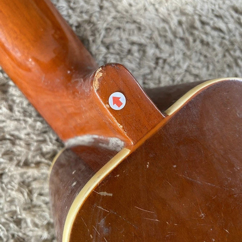 Spruce &amp; Mahogany Barrel-Shape Mandolin DIY Project