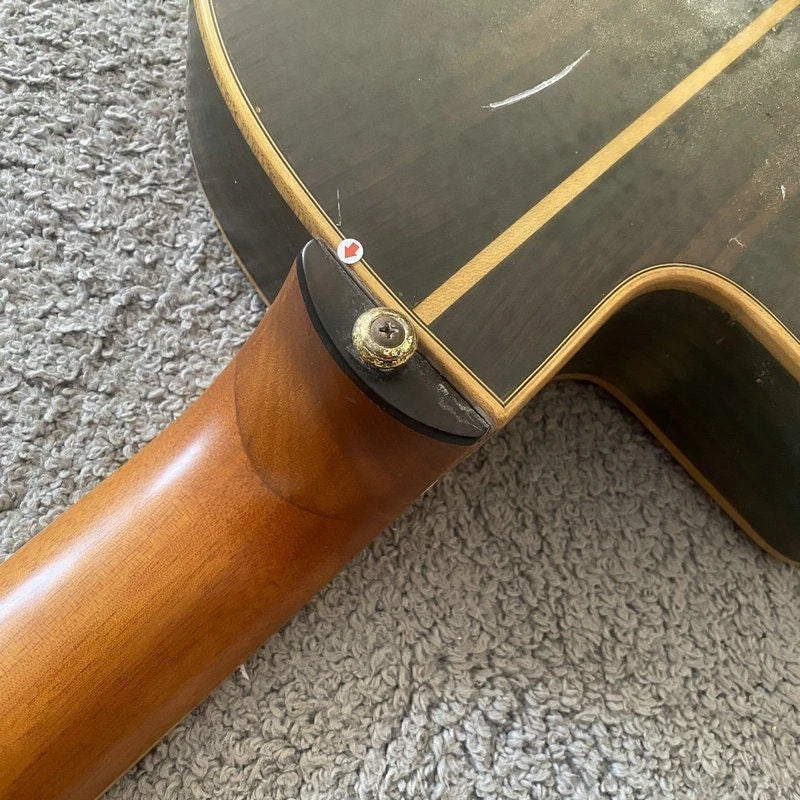 Eko 39 Inch Classical Guitar, Pine and Rosewood Body, Mahogany Neck