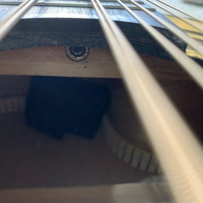 10 String Acoustic Electric Guitar, Solid Spruce Top, Rosewood Fingerboard Neck
