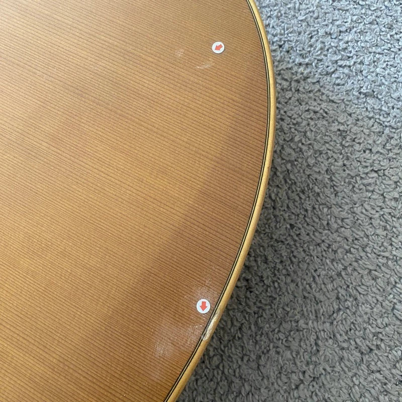 Eko 39 Inch Classical Guitar, Pine and Rosewood Body, Mahogany Neck