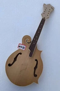 Custom DIY Project 8 String Mandolin, Maple Neck, Rosewood Fretboard