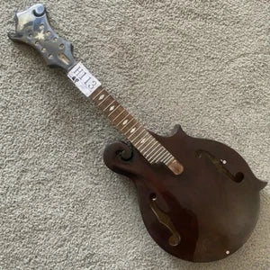Custom DIY Project 8 String Mandolin, Mahogany Neck, Rosewood Fingerboard
