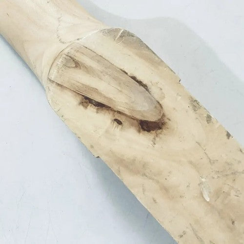 Mini 4 String Bass Maple Wood Set In Neck, Rosewood 19 Frets Fingerboard