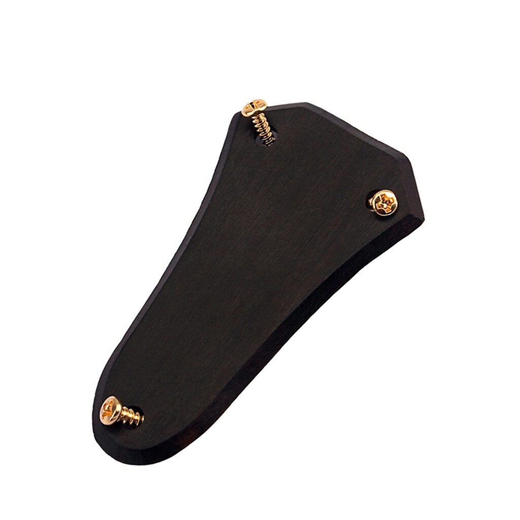 Ebony Acoustic Guitar 3 Holes Truss Rod Cover Fit Epiphone,Ibanez,Martin,Cort